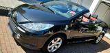 Peugeot 307 CC Tendance wenig km - Peugeot 307 aus 2006: Cabrio