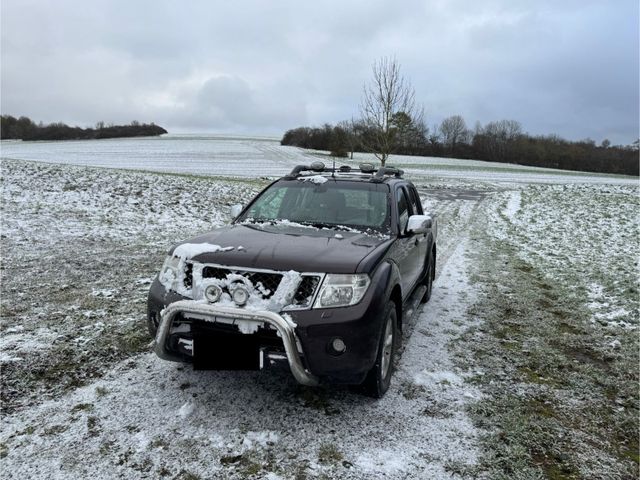 Nissan Navara D40