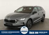 Skoda Octavia Combi 1.5 TSI DSG mHEV Selection, AHK, N - Skoda Octavia Tageszulassungen
