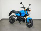 Honda MSX125 GROM mit Tageszulassung