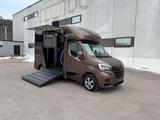Renault Master III L2H2 3,5t Pferdetransporter - Tier-/Pferdetransport 3 pferde