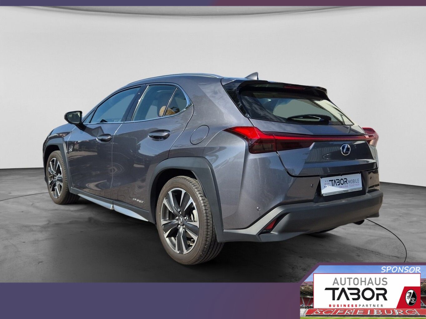 Lexus UX 250h Luxury Line Matrix LED Pano Memory Kam imagem 3