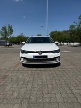 Volkswagen Golf 1.5 eTSI 150 PS DSG Life Business-Paket   - Volkswagen Golf: 150 Ps