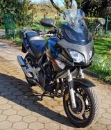 Honda CBF 600 PC38 - HONDA CBF 600 PC38