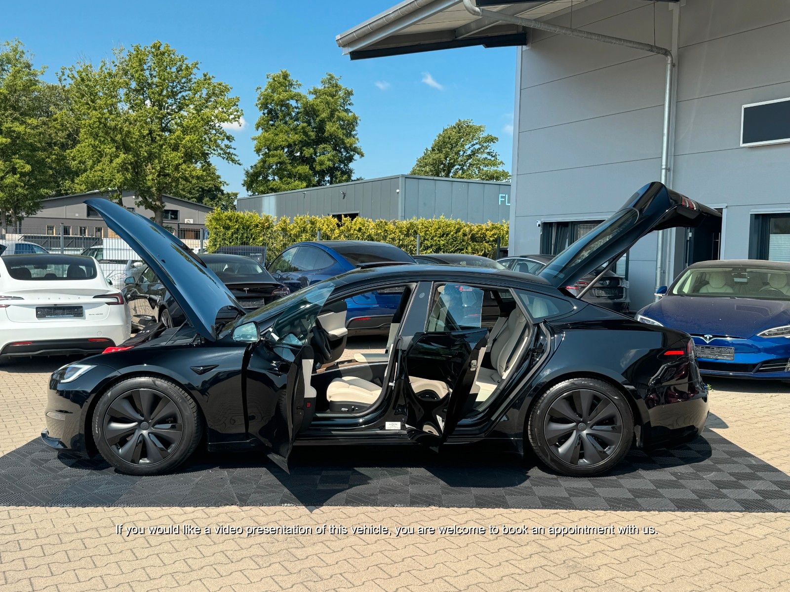 Tesla MODEL S PALLADIUM MATRIX CREAM foto 5