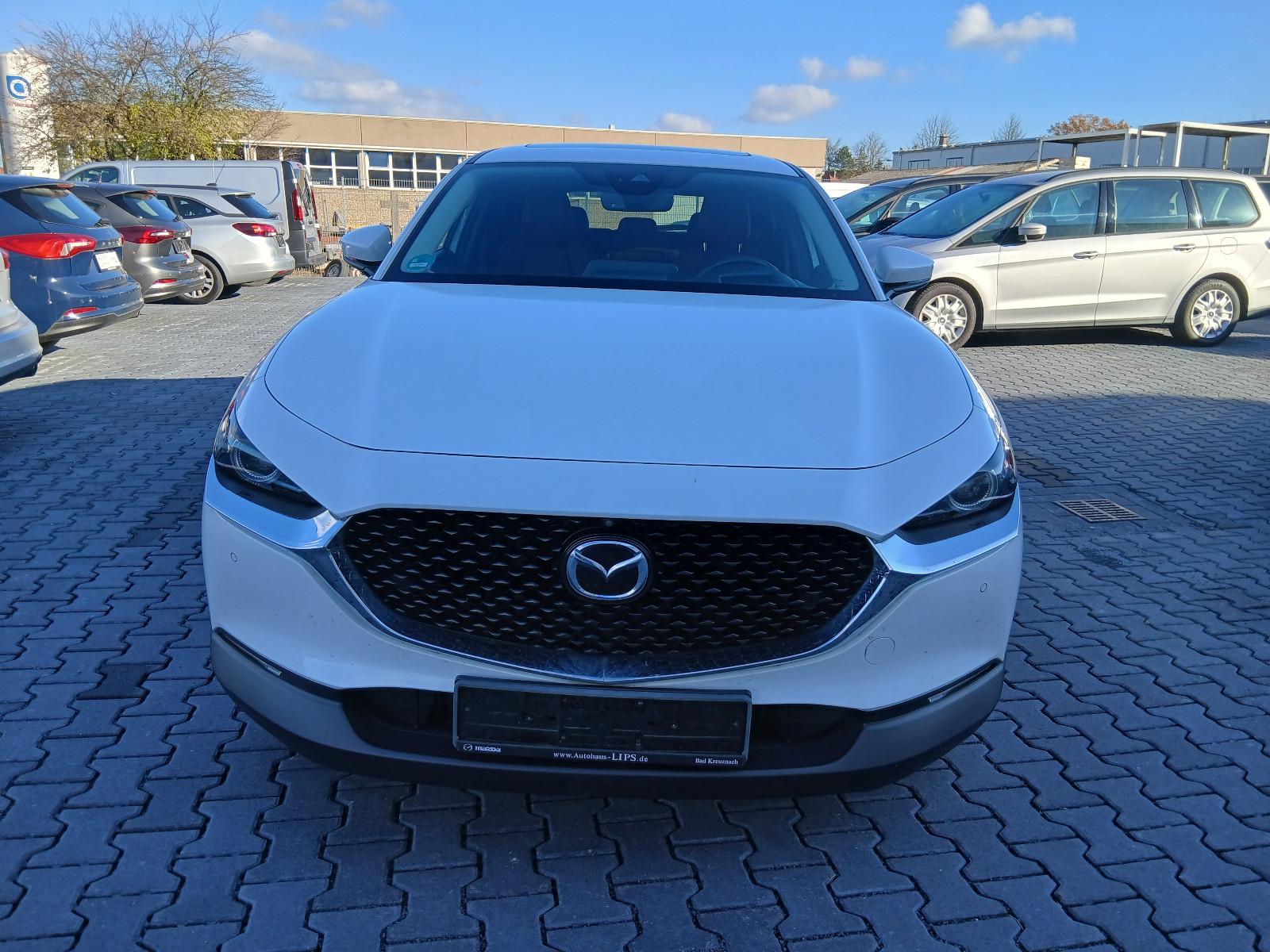 Mazda CX-3 0 100th Anniversary AHK neu, миниатюра 11