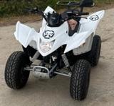 Aeon Cobra 50 - AEON MOTORRAD