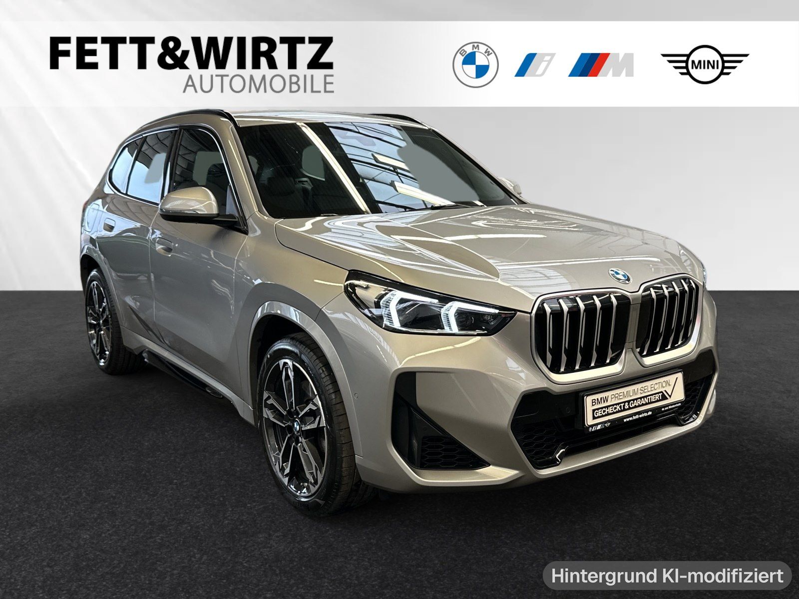 BMW X1 xDrive23i M Sport AHK DA H K 19 LMR foto 1