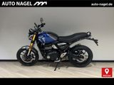 Triumph Speed 400 - TRIUMPH 4 SPEED