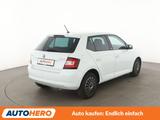Skoda Fabia 1.2 TSI Joy*NAVI*TEMPO*PDC*SHZ*KLIMA* - Skoda Fabia Gebrauchtwagen in Nürnberg