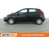 Fiat Punto 1.2 MYSTYLE*PDC*AHK*KLIMA*GARANTIE* - Fiat Punto Gebrauchtwagen