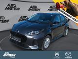 Mazda 2 Hybrid 1.5L Hybrid VVT-i 116 - Mazda 2 Tageszulassungen
