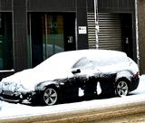 BMW Bmw 520D Touring E61 LCI - BMW: Kombi, E61