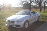 BMW 228i Cabrio - Sommerauto - BMW 228 aus 2016