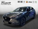 Mazda CX-30 Selection AWD 2.0 SKYACTIV-X M Hybrid EU6d - Mazda CX-30: Limousine