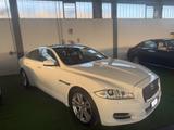 Jaguar XJ 3.0D V6 Premium Luxury - Jaguar XJ aus 2011