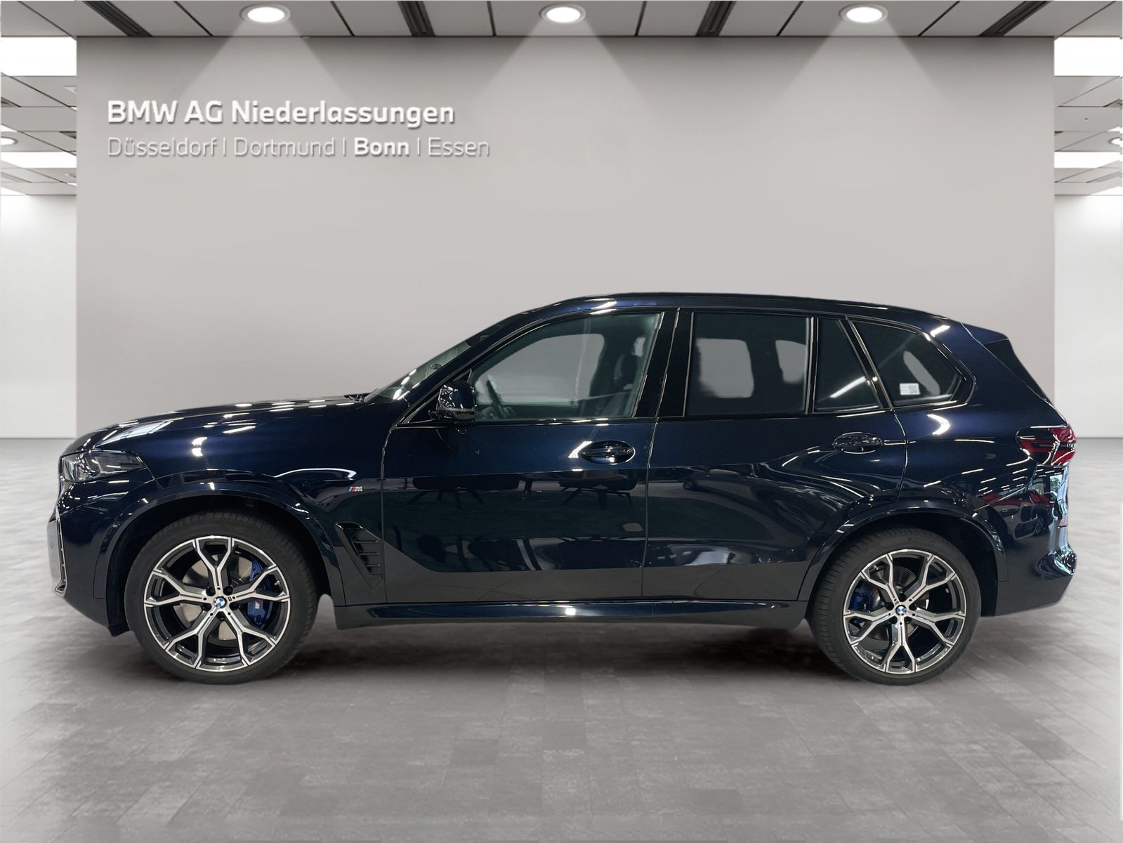 BMW X5 xDrive30d M Sport Standheizung Harman K LED foto 3