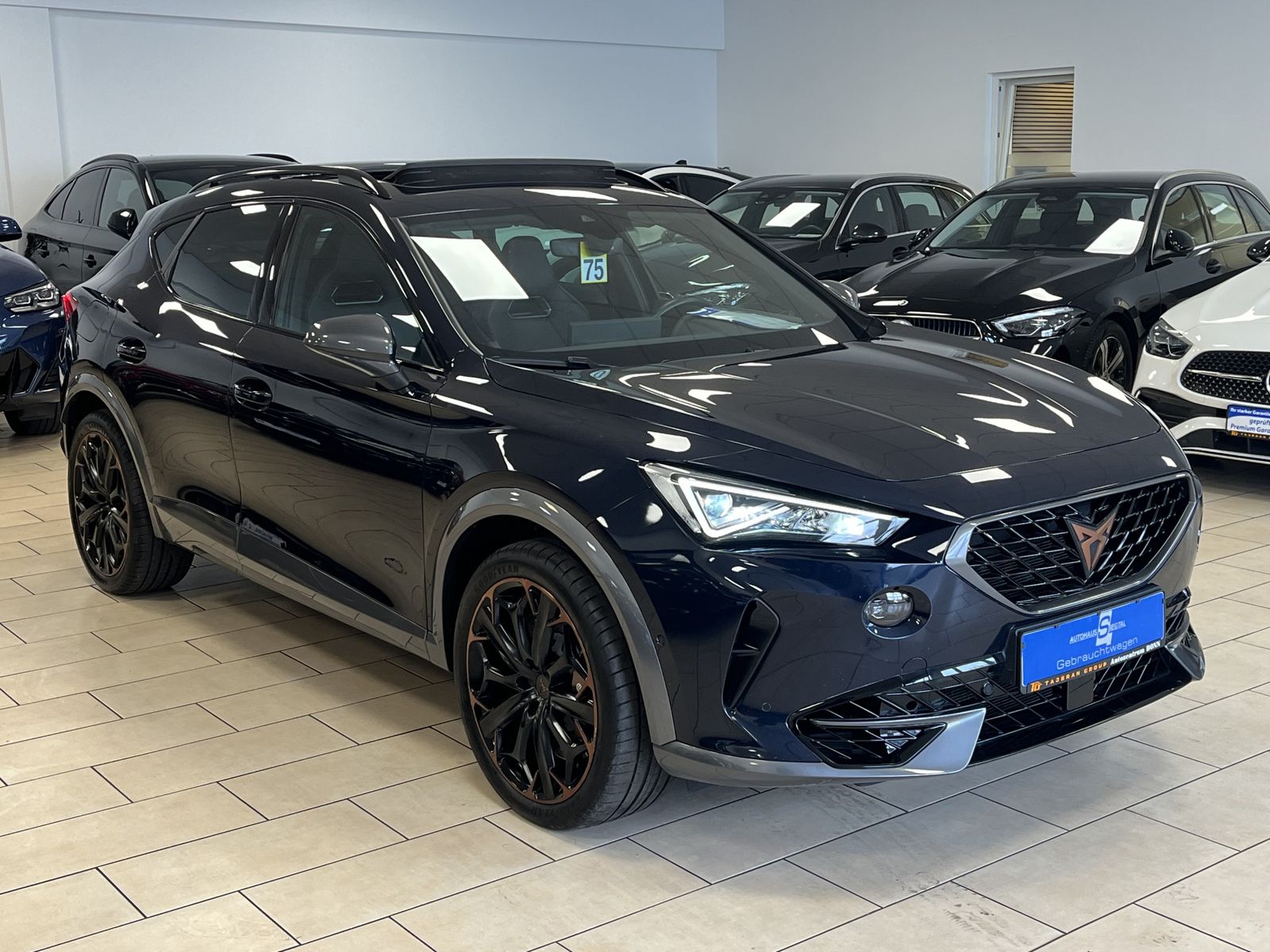 Cupra Formentor VZ 4Drive*Pano*TeiLeder*ACC*R-Cam*SHZ* imagem 3