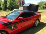 Ford Mustang - Ford: Rot, Cabrio