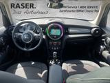 MINI Cooper 5-Türer Pepper DKG+PANO+ISFX+SHZ+PDC+NAVI - MINI MINI: Pepper
