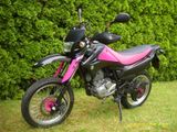 Suzuki DR 125 SM - SUZUKI VON 81 BIS 125 CCM