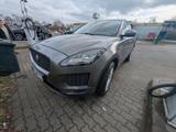 Jaguar E-Pace D180 AWD Corris Gray Metallic - Jaguar E-Pace aus 2018