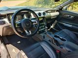 Ford Mustang 5.0 V8 GT Deutsche Ausführung - : Sportwagen, Deutsche