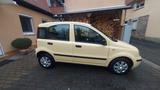 Fiat Panda - gebrauchte Fiat Panda aus dem Jahr 2009