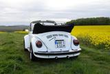 Volkswagen Käfer - Volkswagen Käfer Oldtimer: Cabrio