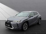 Lexus UX 250 h*STYLE*CARPLAY*PDC*15 JAHRE GARANTIE - Lexus aus 2021