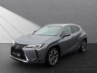 Lexus UX 250 h*STYLE*CARPLAY*PDC*15 JAHRE GARANTIE