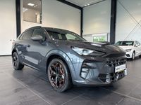 Cupra Terramar - Vorschau Bild 6