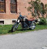 Mash Six Hundred Classic !!NEUER PREIS!! - MASH SIX HUNDRED CLASSIC