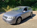 Audi A3 8P  3 türig  1,6 FSI mit TÜV Neu - Audi A3: Türig
