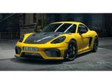 Porsche 718 Cayman GT4 RS - Porsche Cayman: Cabrio