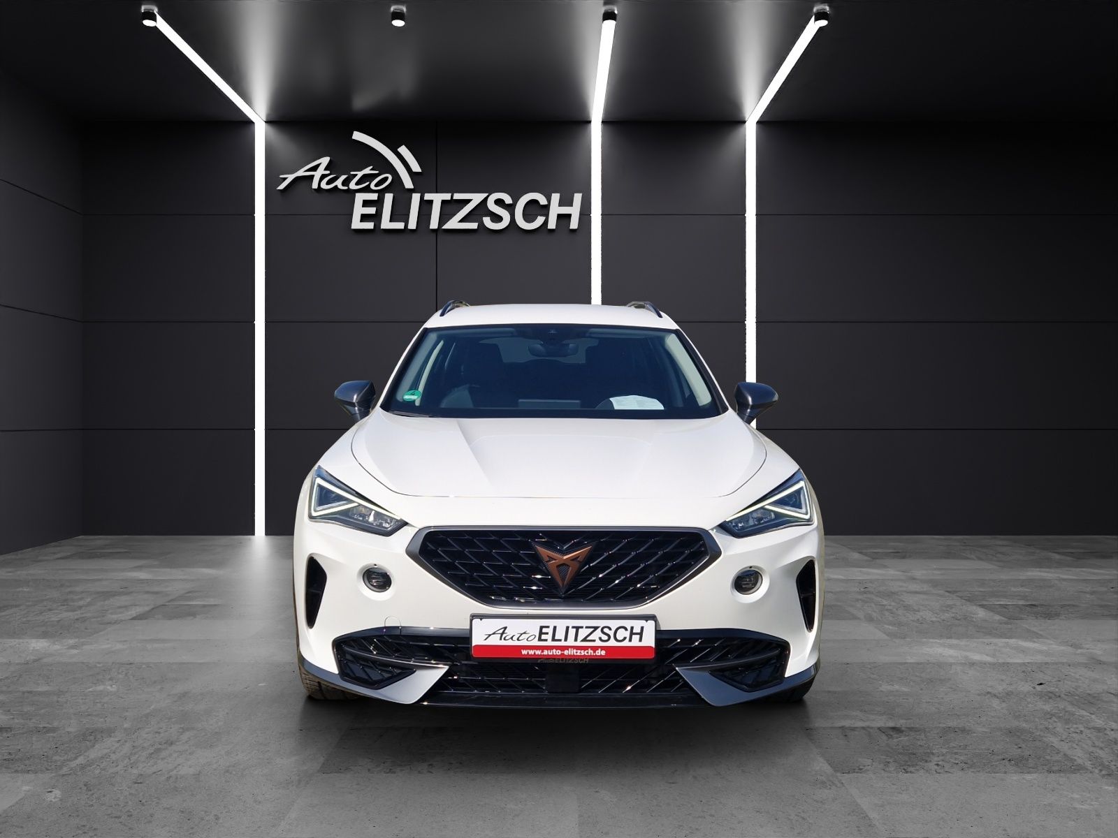 Fahrzeugabbildung CUPRA Cupra Formentor Basis LED 18" LED ACC SHZ PDC Na