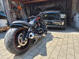 Harley-Davidson VRSCDX Night Rod Special - Motorräder in Oberhausen
