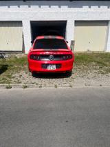 Ford Mustang - Ford Mustang: Rot