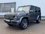 Mercedes-Benz G 350 d G Station Professional Offroad Paket - Mercedes-Benz G 350: Professional