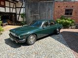 Jaguar XJ12 Serie 3 295PS British Racing G... - scheckheftgepflegte Jaguar XJ12