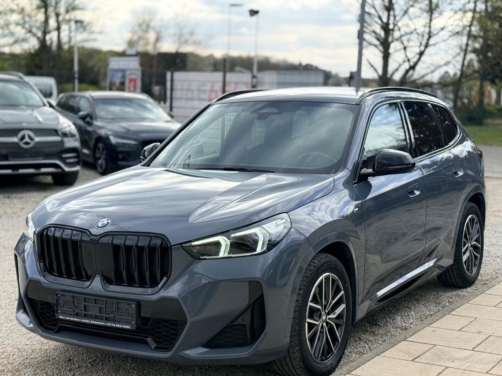 BMW 23d xDrive M Sport AHK DriAssPlus AdapLED Shadow