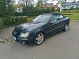 Mercedes-Benz CLK Cabrio 240 Elegance top Zustand - Mercedes-Benz 240 Gebrauchtwagen