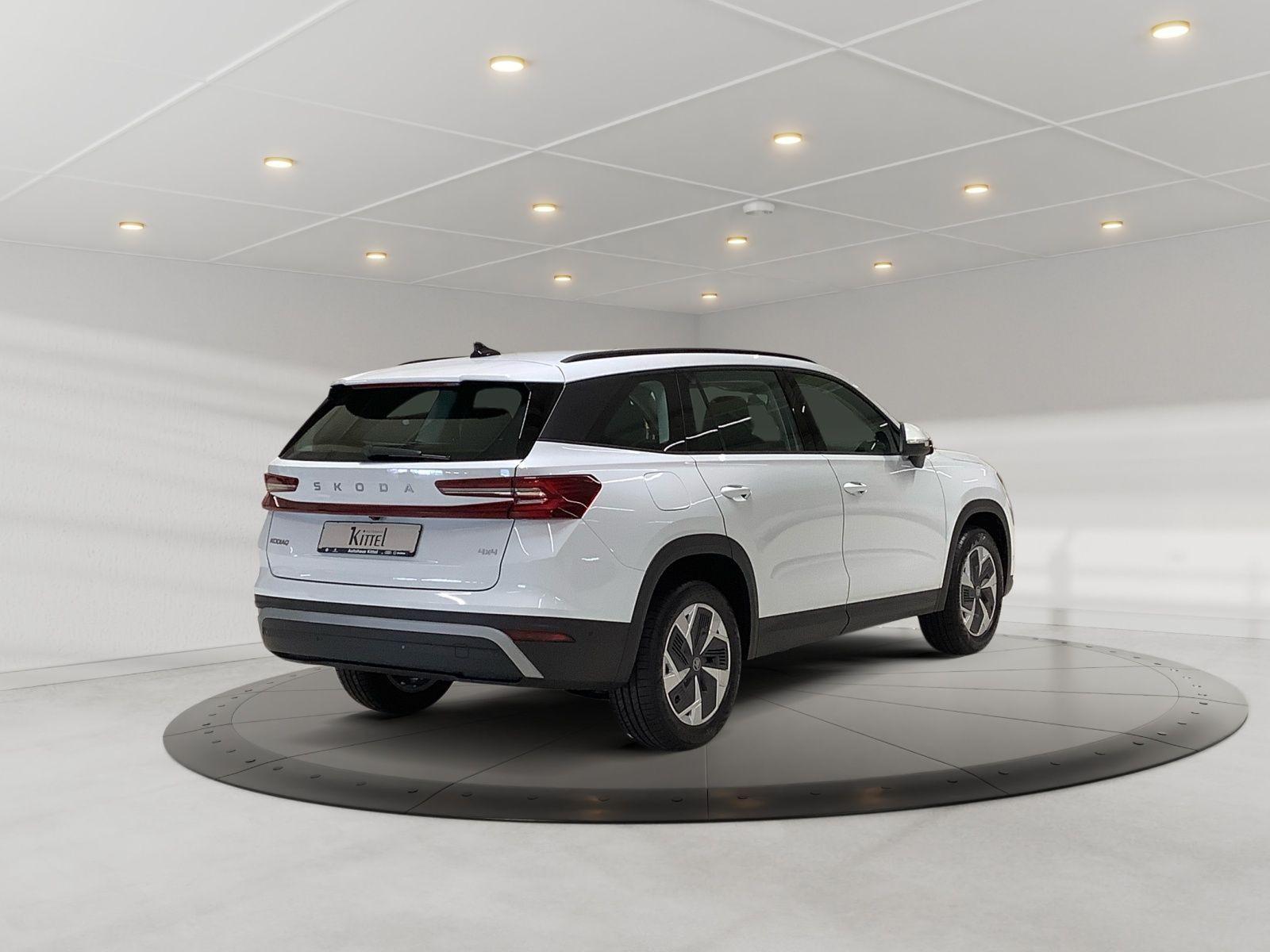 Skoda Kodiaq Selection TDI 142 kW DSG 4x4 AHK LEDER