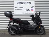 Honda Forza 350 | Special Edition | 6 Jahre Garantie |