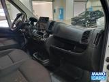 Opel Movano Kasten 3.5t L4H2 BlueHDI180 BLIS/CAM/NAVI - Opel Movano in Bielefeld