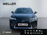 Lexus UX 250h Style Edition *Bi-LED*ACC*CAM*SHZ*CarPla - Lexus: Allradantrieb