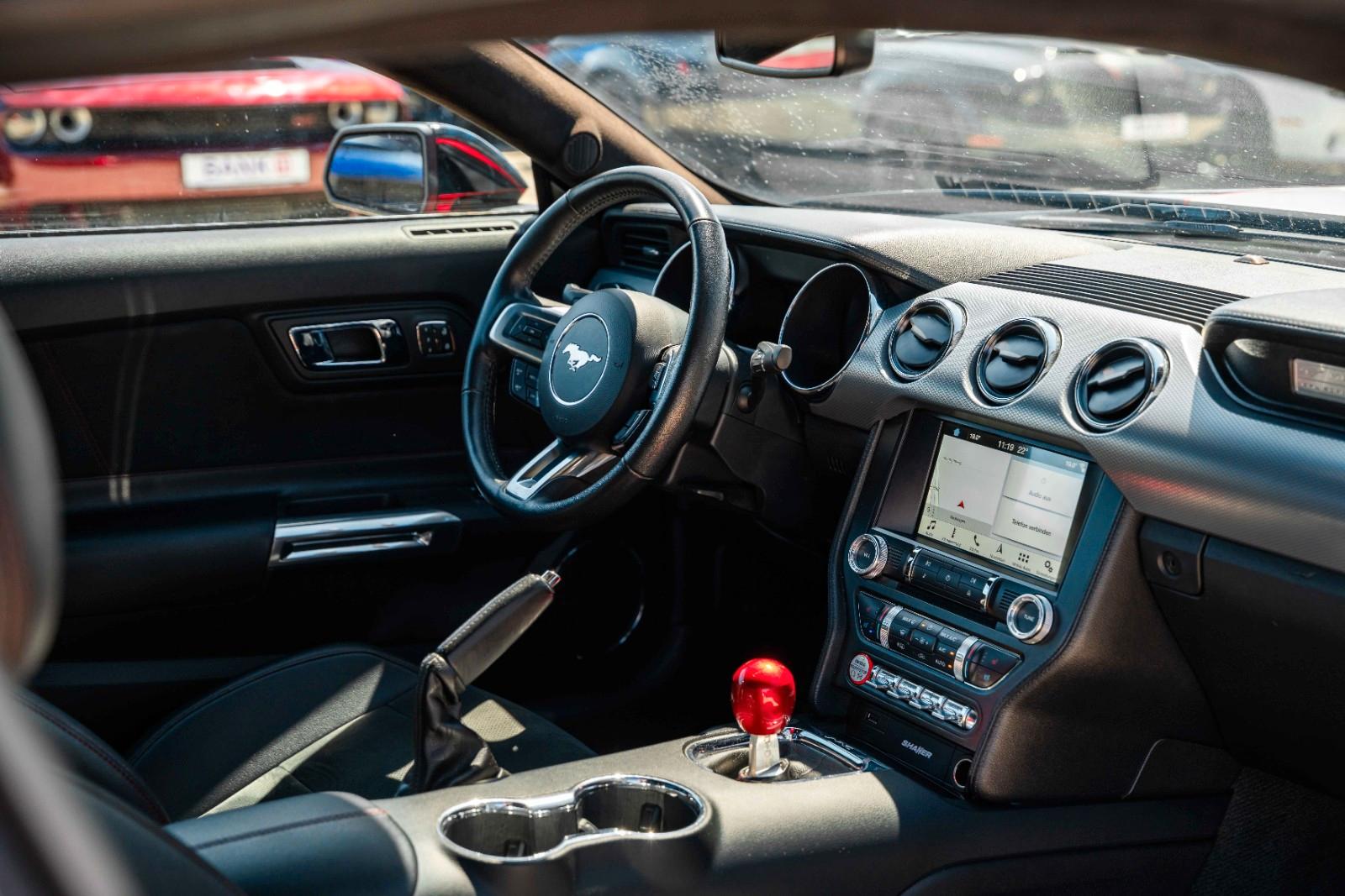 Ford Mustang GT 5,0 Gt 350 SHELBY PREMIUM VOLL