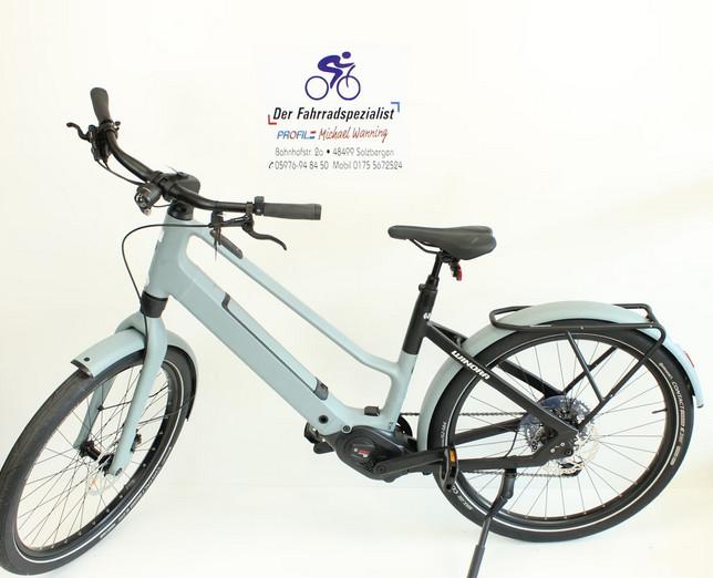 Winora iRide PUR X 10-MID