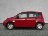 Fiat Panda Pandina POP Hybrid #KLIMA #PARKSENSOREN - Fiat Panda POP mit Hybrid-Antrieb (Benzin/Elektro)