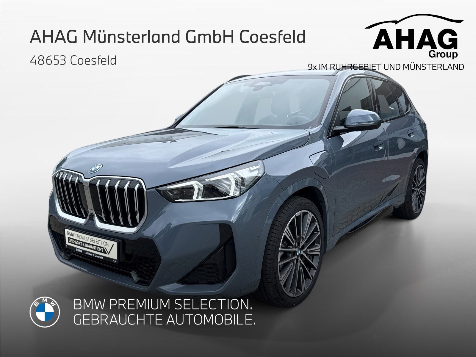 BMW X1 xDrive30e Dr.Ass.Pro. Park.Ass.Plus HUD H/K e